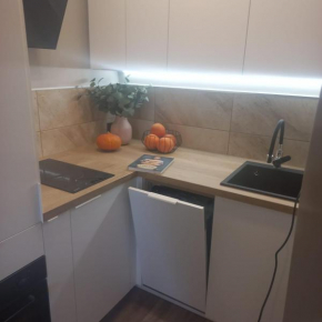 Apartament Starołeka
